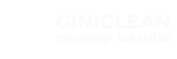 Giniclean